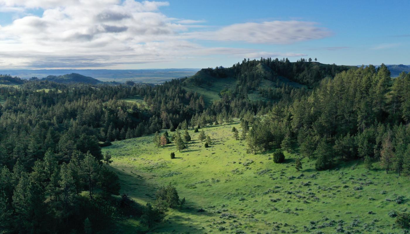 Bay Horse Butte Ranch Powers Land Brokerage