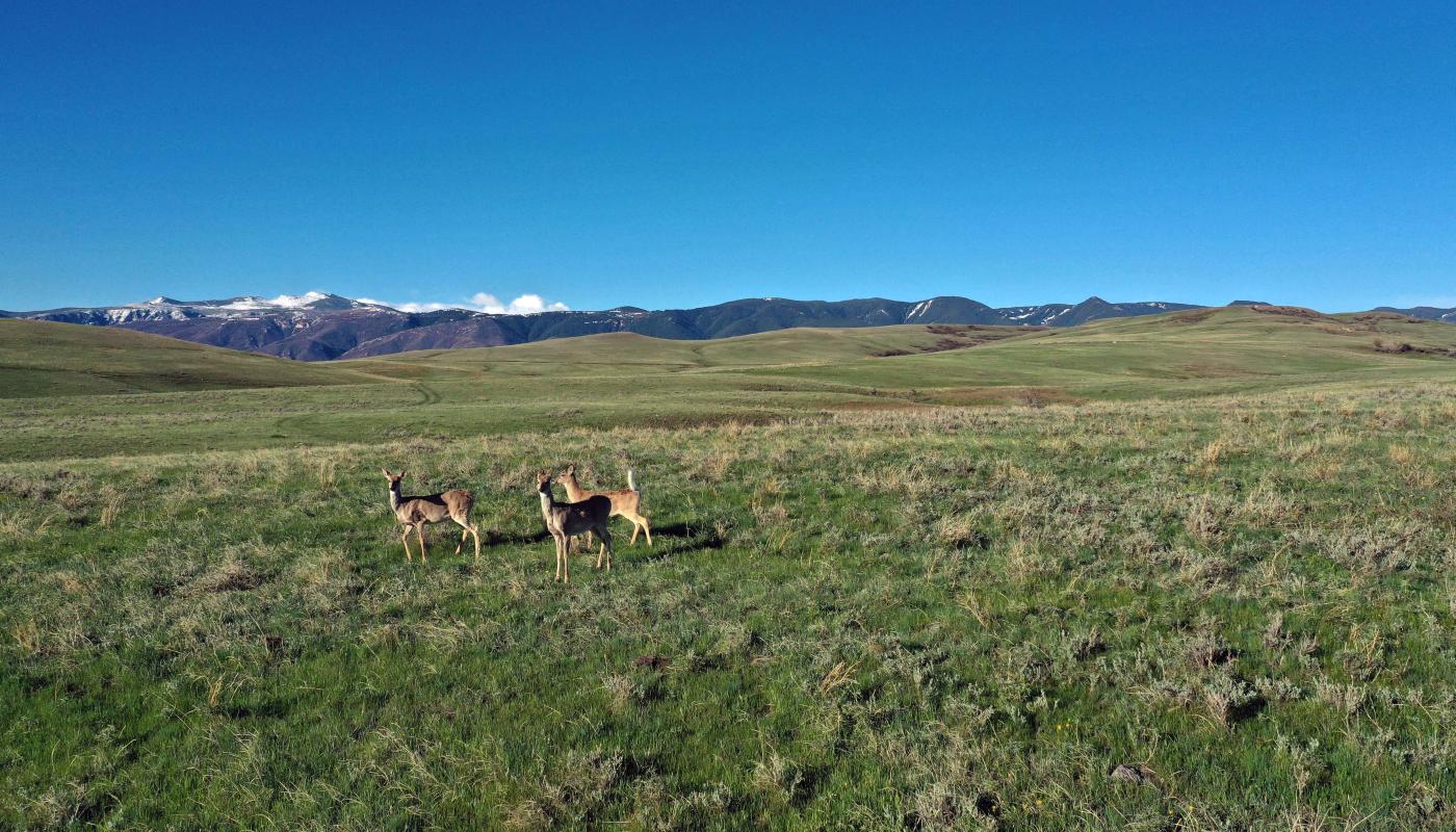 Peralta Hills Ranch Powers Land Brokerage