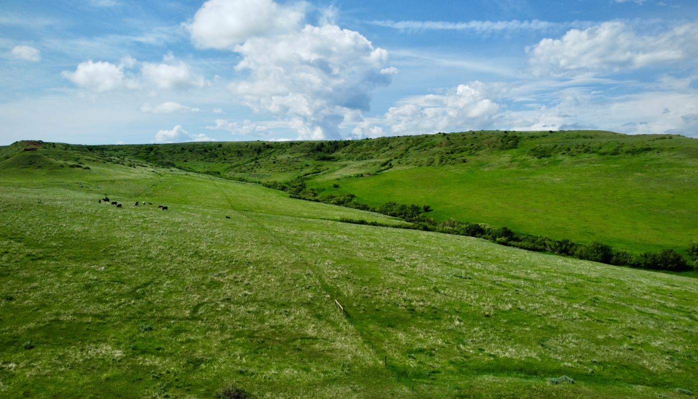 Hidden Hills Powers Land Brokerage