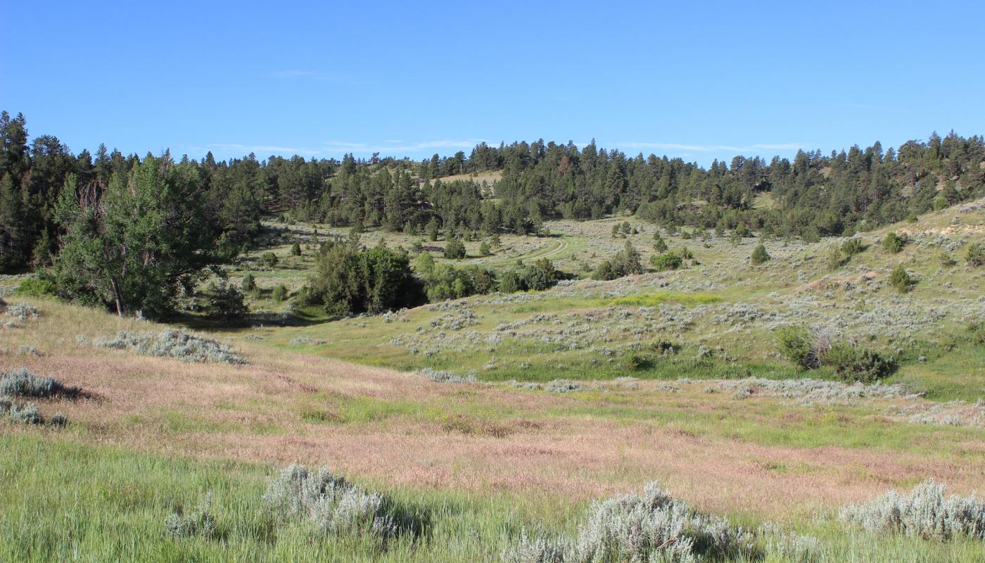 Sawmill Ranch | Powers Land Brokerage