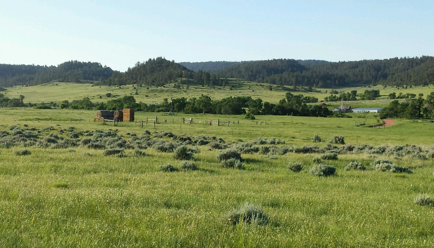 Custer Gallatin Ranch Powers Land Brokerage